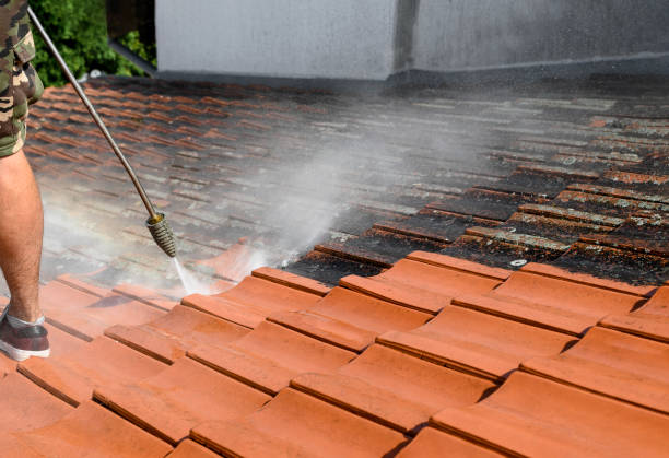 Best Pressure Washing Cost  in Hlsboro, IL