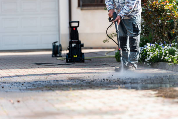 Best Pressure Washing Company Near Me  in Hlsboro, IL
