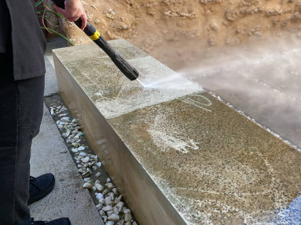Best House Pressure Washing  in Hlsboro, IL
