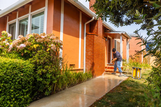 Best Sidewalk Pressure Washing  in Hlsboro, IL