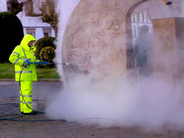 Best Residential Pressure Washing Services  in Hlsboro, IL