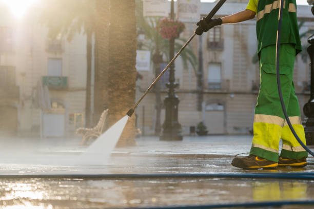 Best Best Pressure Washing Companies  in Hlsboro, IL