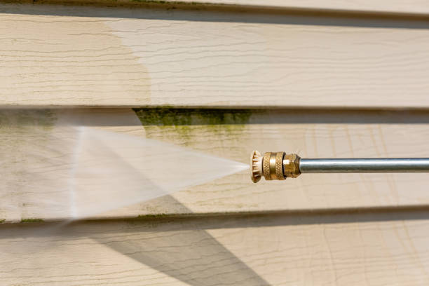 Best Pressure Washing Driveway  in Hlsboro, IL